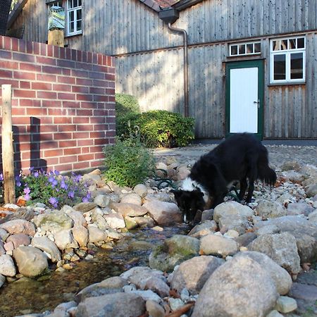 Landgasthof Wildwasser Wolthausen Extérieur photo