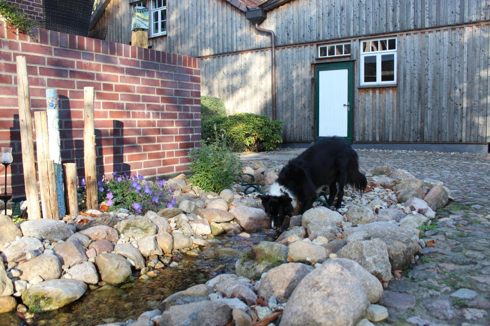 Landgasthof Wildwasser Wolthausen Extérieur photo